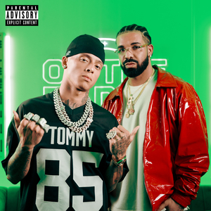 蓝手套哥训猴原版视频完整版
