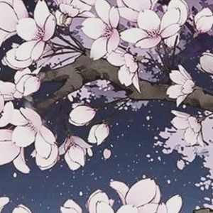 蓝手套哥训猴原版视频完整版
